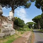 Fiorella
